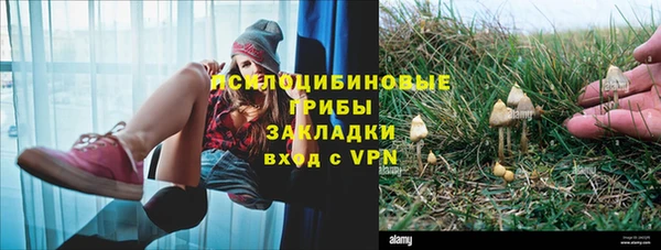 СК Михайловск